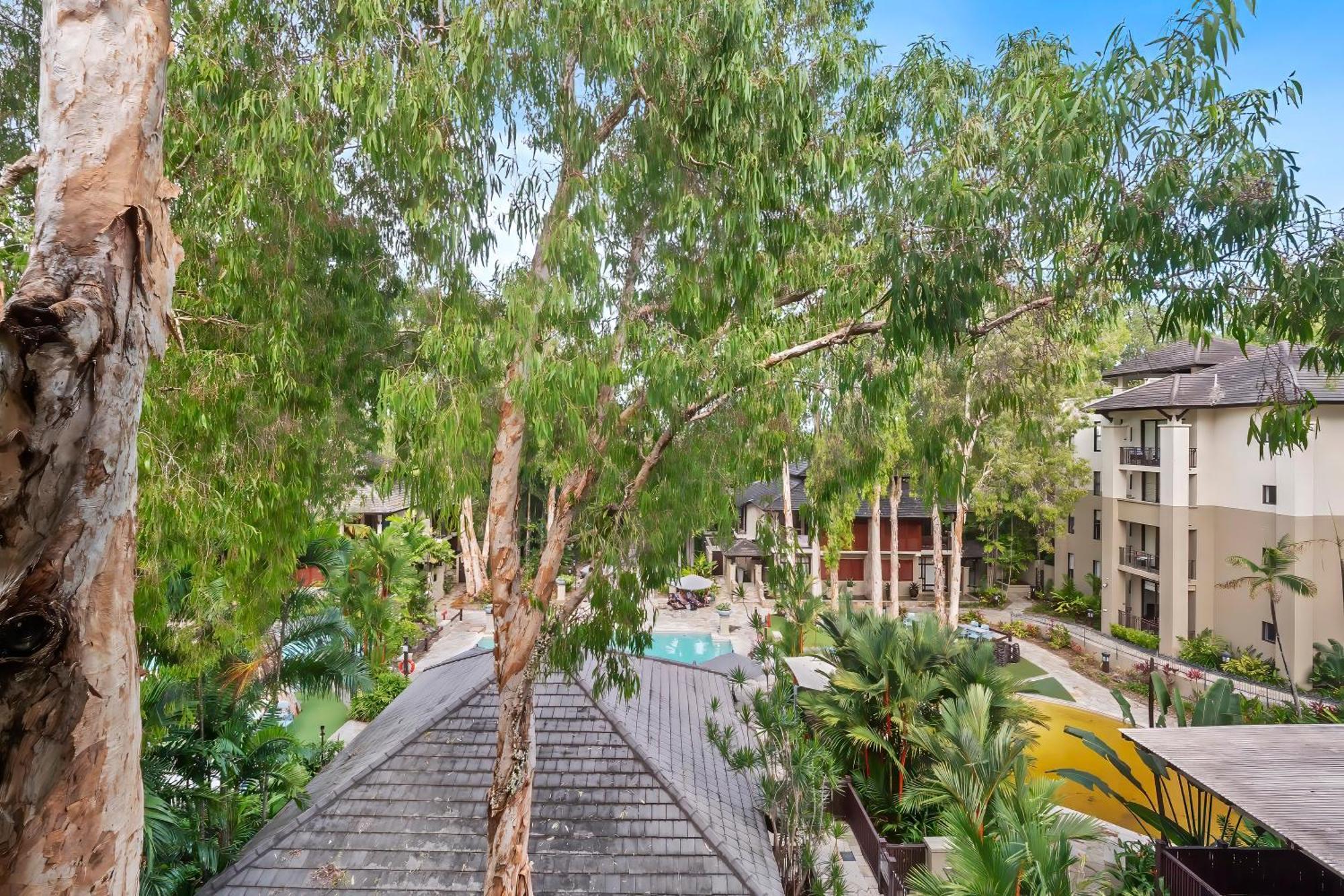 Private Apartments In The Temple Beachfront Resort Палм Коув Стая снимка
